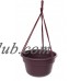 Bloem Dura Cotta Hanging Basket 12" Exotica   567603949